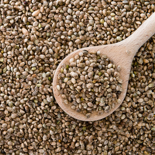 Hanfsamenöl – Kaltgepresst 250ml